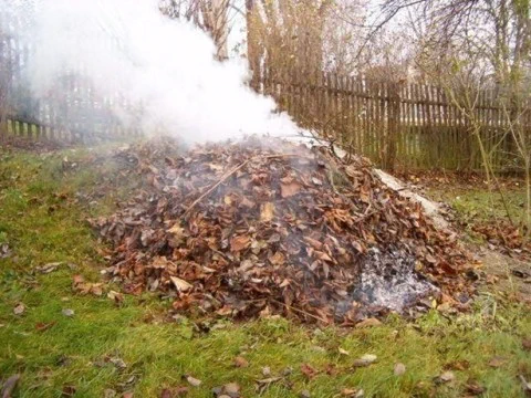 spalování listí2)